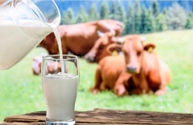 دستگاه پاستور/شیر